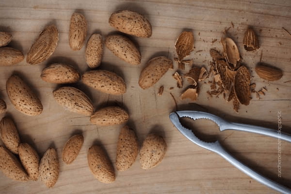 تصویر 1 از خرید و قیمت بادام مامایی با پوست  + فروش عمده